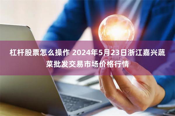 杠杆股票怎么操作 2024年5月23日浙江嘉兴蔬菜批发交易市场价格行情