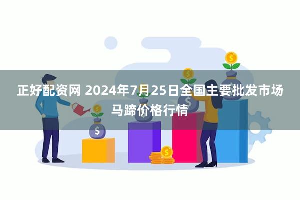 正好配资网 2024年7月25日全国主要批发市场马蹄价格行情