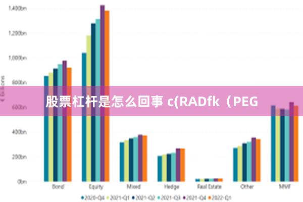 股票杠杆是怎么回事 c(RADfk（PEG