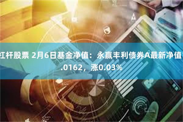 杠杆股票 2月6日基金净值：永赢丰利债券A最新净值1.0162，涨0.03%