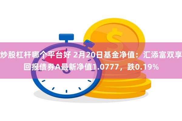 炒股杠杆哪个平台好 2月20日基金净值：汇添富双享回报债券A最新净值1.0777，跌0.19%