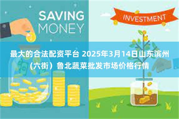 最大的合法配资平台 2025年3月14日山东滨州(六街）鲁北蔬菜批发市场价格行情